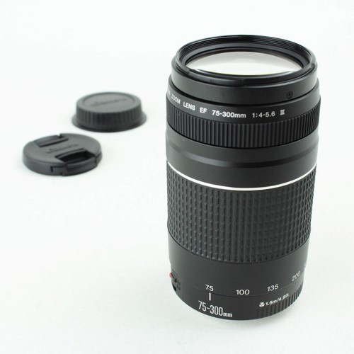 Canon 300 4 - canon, iii