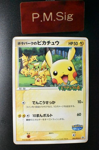 Carta pokemon pokepark - pokemon, pokepark's