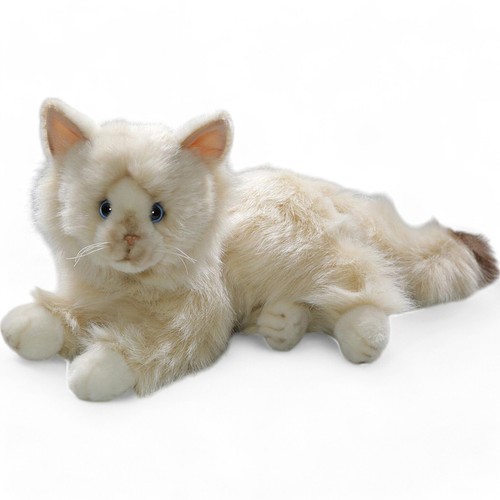 Carl dick gatto birmano - gatto,