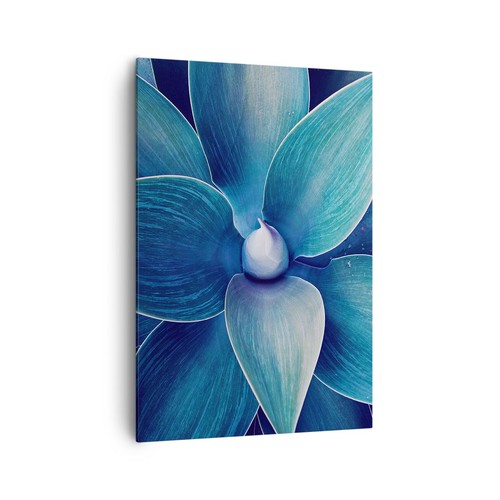 Quadro tela 70x100cm agave - su,