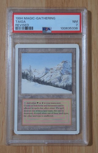 Mtg revised rare dual land - mtg,