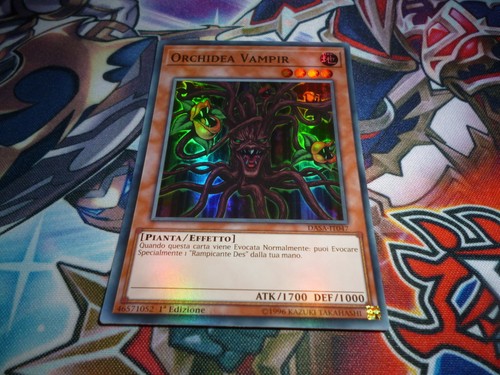 Orchidea vampir dasa - yu,