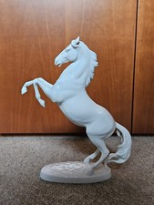 Cavallo arabo rampante