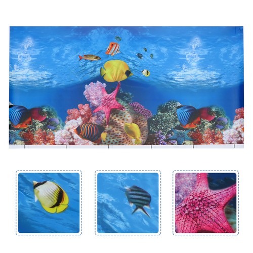 Fish decoration sfondo per - decoration,