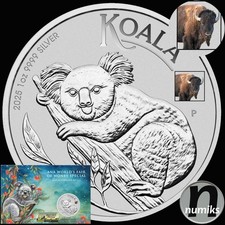 KOALA 2025 BISON Privy in