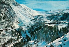 CARTOLINA DI MONESI - IMPERIA