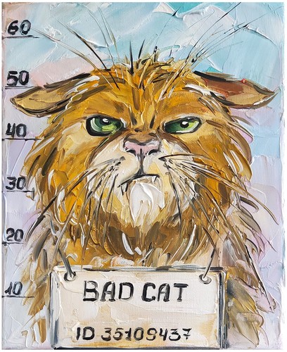 Quadro olio 30x24 gatto - olio,