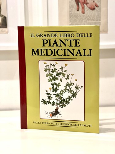 Grande libro delle - il, piante