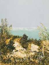 GIANCARLO CAZZANIGA: Rara Litografia di cm. 70x50, Firmata, Numerata. STUPENDA!!