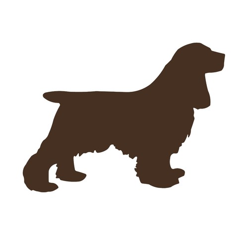 Adesivo cocker spaniel vinile - adesivo,