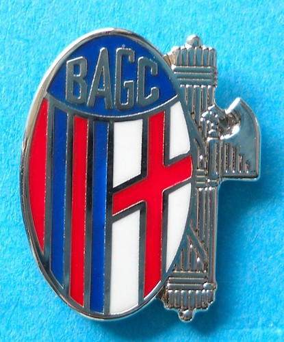 Distintivo spilla pin - spilla, badge