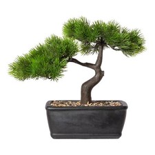 Bonsai Larice Ca 23x25cm, IN