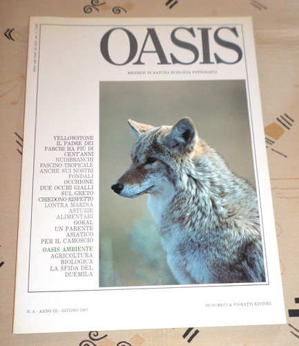 Rivista oasis giugno - rivista, 6