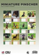 Calendario miniatura Pinscher cane 2026 A3