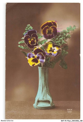 Bafp2 0179 fleurs un bouquet - un,