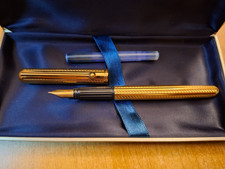 Penna stilografica Waterman