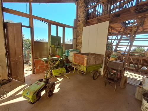 Grillo climber - grillo,