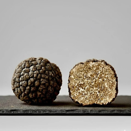 Tartufo nero fresco 30g - tartufo,