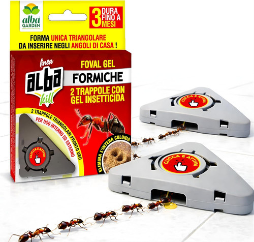 Trappola formiche con gel - formiche,