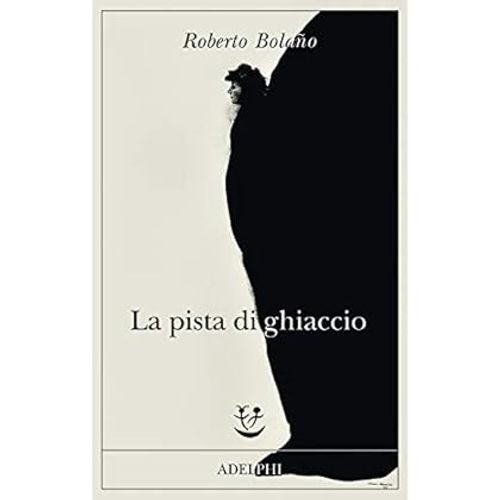 Pista ghiaccio - pista,