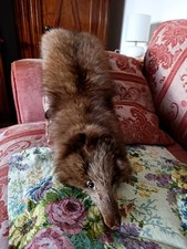 Scaldacollo In Vera Pelliccia