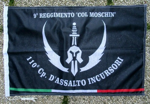 Bandiera 110 d - "110°, cp.