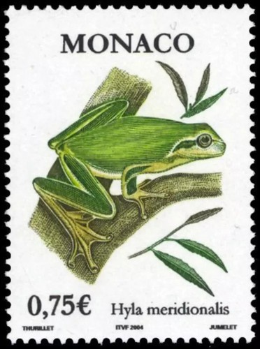Monaco 2004 fauna - 2004, flora