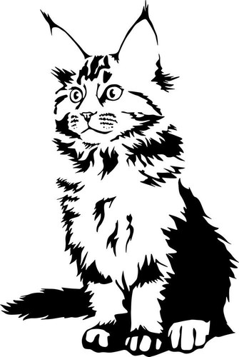 Adesivo maine coon sticker - maine,