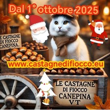 2,5_KG CASTAGNE E MARRONI CALIBRO MISTO MEDIO ULTIME RIMASTE OFFERTA NATALE 2025