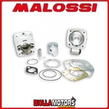 3113555 CILINDRO MALOSSI 50CC