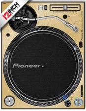 Pioneer PLX-1000 SKIN - Oro