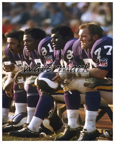 Minnesota vikings viola - vikings,