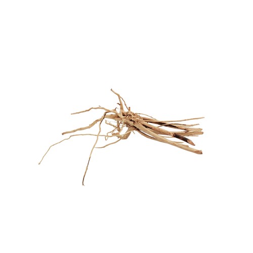 Aqpet zen wood - slim, legno