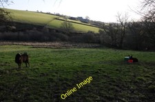 Photo 6x4 Zwartbes sheep in a field at Temple Temple/SX1473 Zwartbles sh c2013