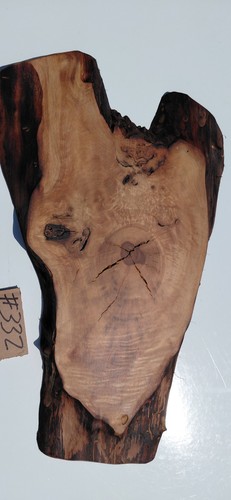 Bastogne walnut slab - bastogne,