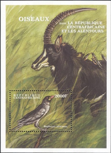 Repubblica centrafricana 2000 - repubblica,