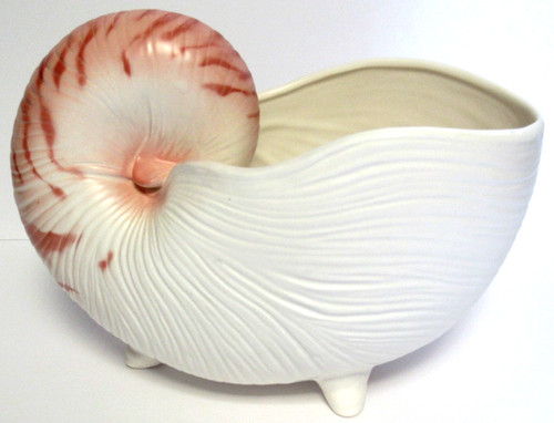 Fitz and floyd nautilus - floyd, "nautilus