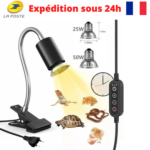 Lampada riscaldante tartaruga