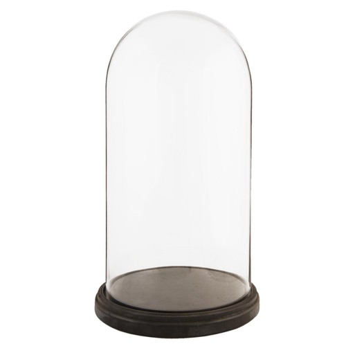 Espositore vetro cloche - espositore,