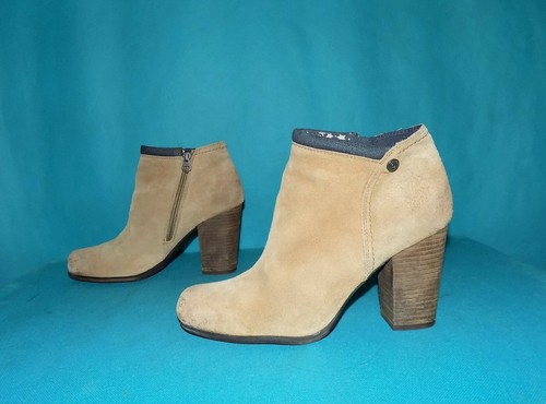 Bottines tommy hilfiger - bottines, in