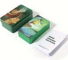 Tarocchi della Veggente