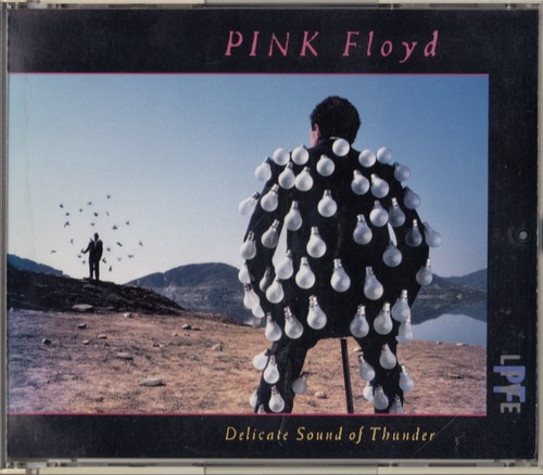 Pink floyd delicate sound - delicate, of
