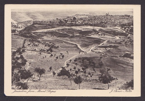 Palestina cartolina epoca - cartolina, d'epoca