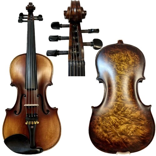 Song master corde viola - song, 5