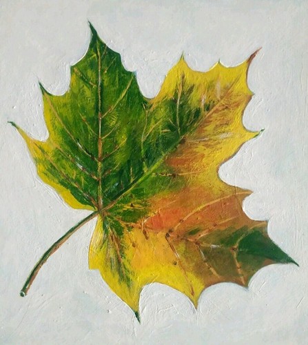 Albero autunnale foglia