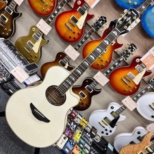 Chitarra acustica-elettrica