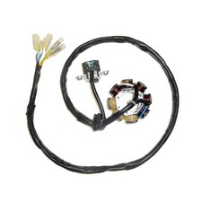 Statore electrosport honda - statore, [electrosport]