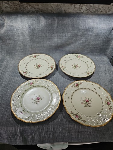 Piatti rosenthal sanssouci - piatti,