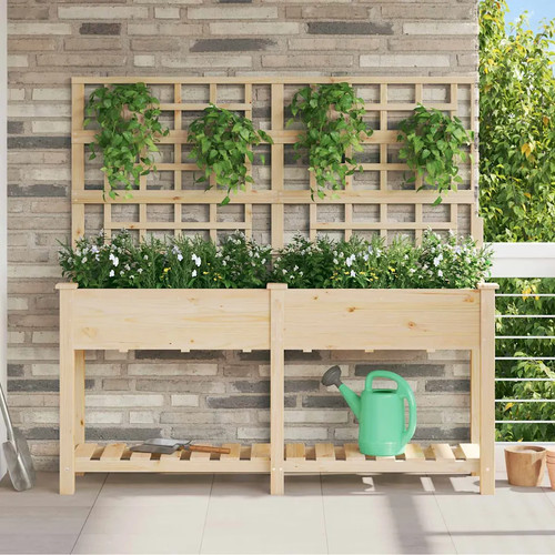 Vaso giardino con lo - con,