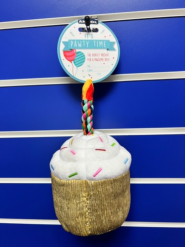 Ancol cane cucciolo compleanno